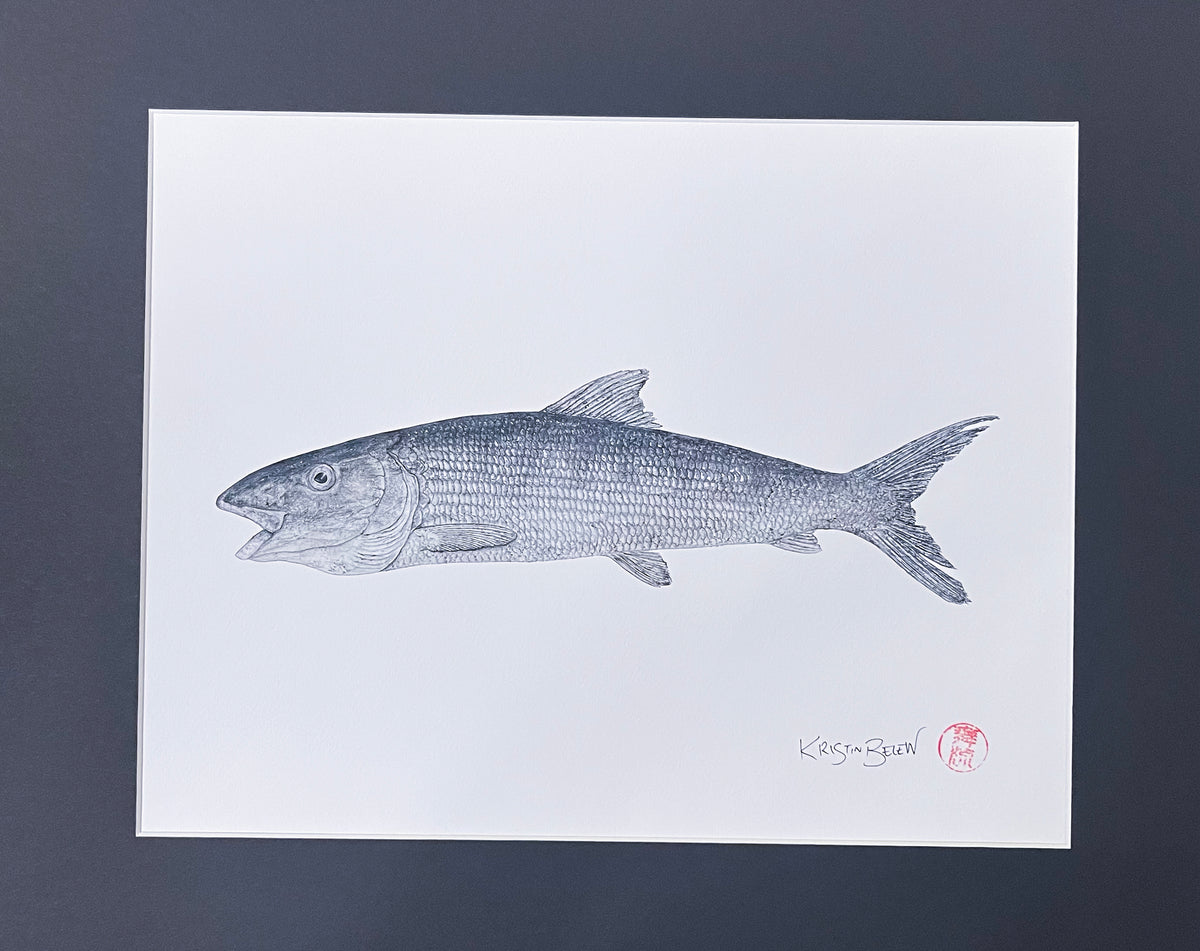 Ready-to-Frame Prints: Kristin Belew "Treyʻs Oio" 16x20