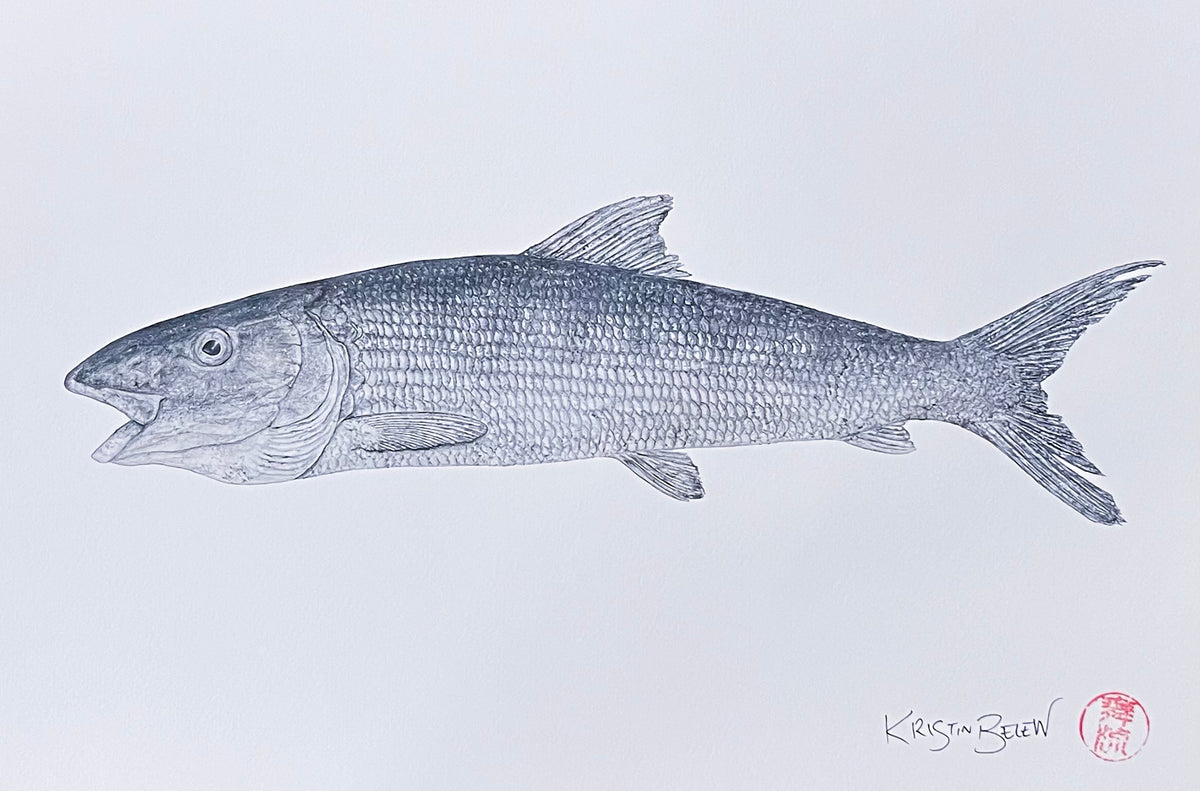 Ready-to-Frame Prints: Kristin Belew "Treyʻs Oio" 16x20