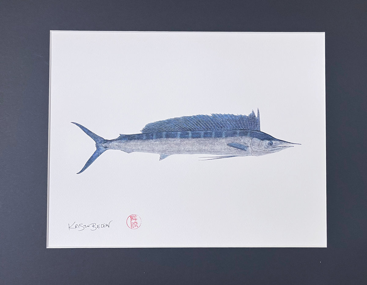 Ready-to-Frame Prints: Kristin Belew "Booneʻs Spearfish" 16x20