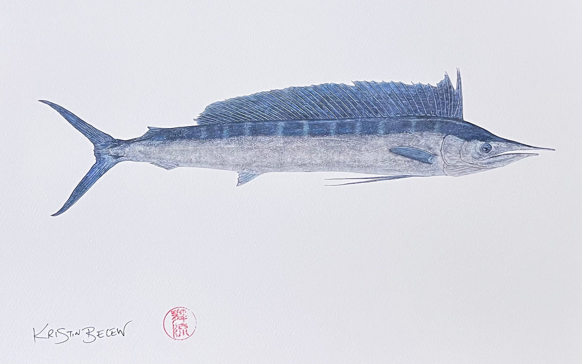 Ready-to-Frame Prints: Kristin Belew "Booneʻs Spearfish" 16x20