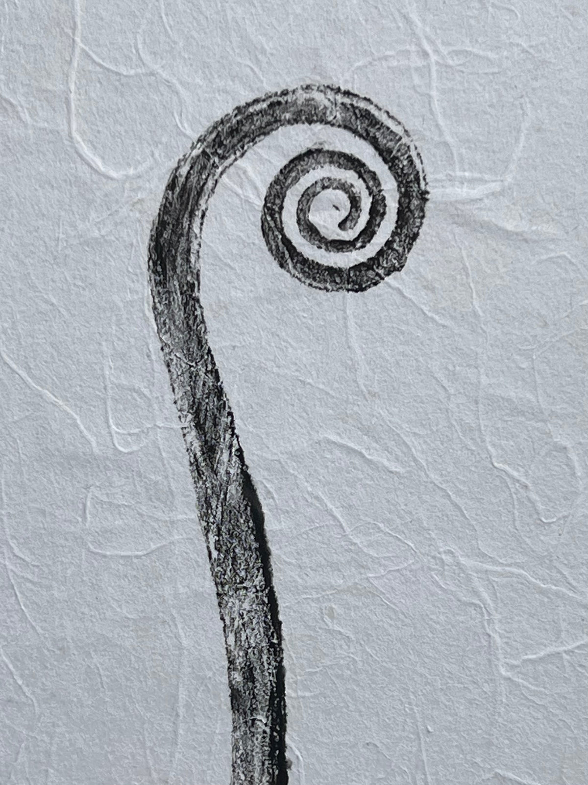 Kristin Belew: "Kupukupu Frond"