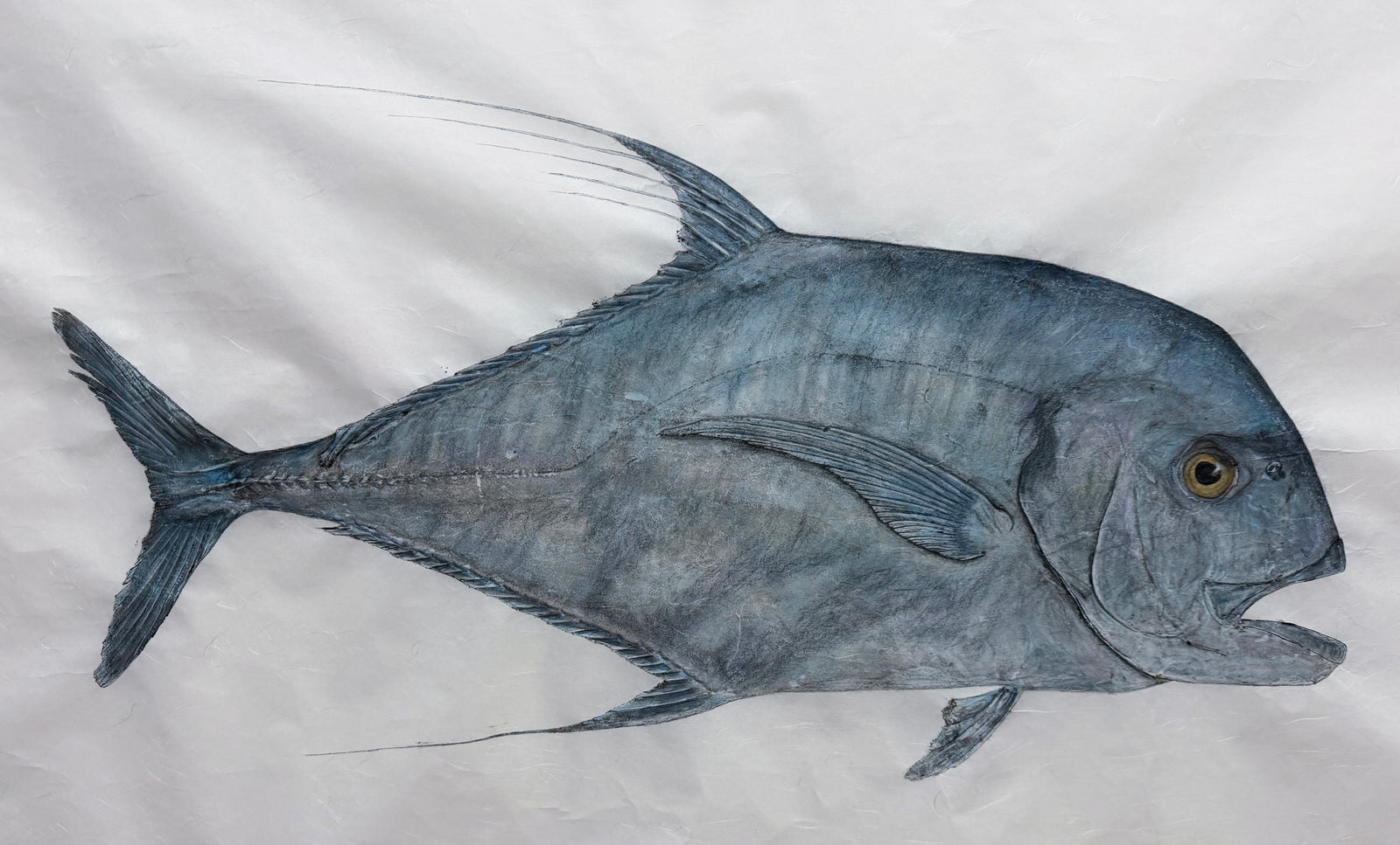 Kristin Belew: "Kaiʻea's Kagami" Threadfin Jack
