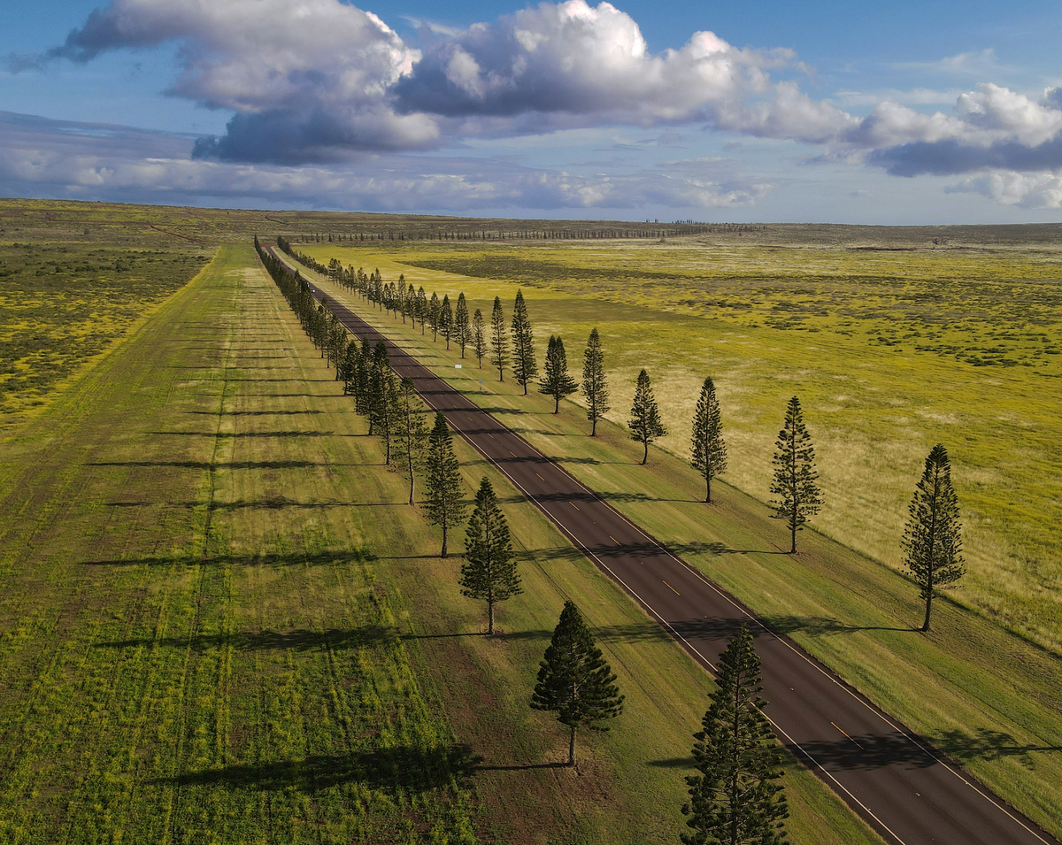 Kristin Belew: Metal Photo "Lana'i Palawai