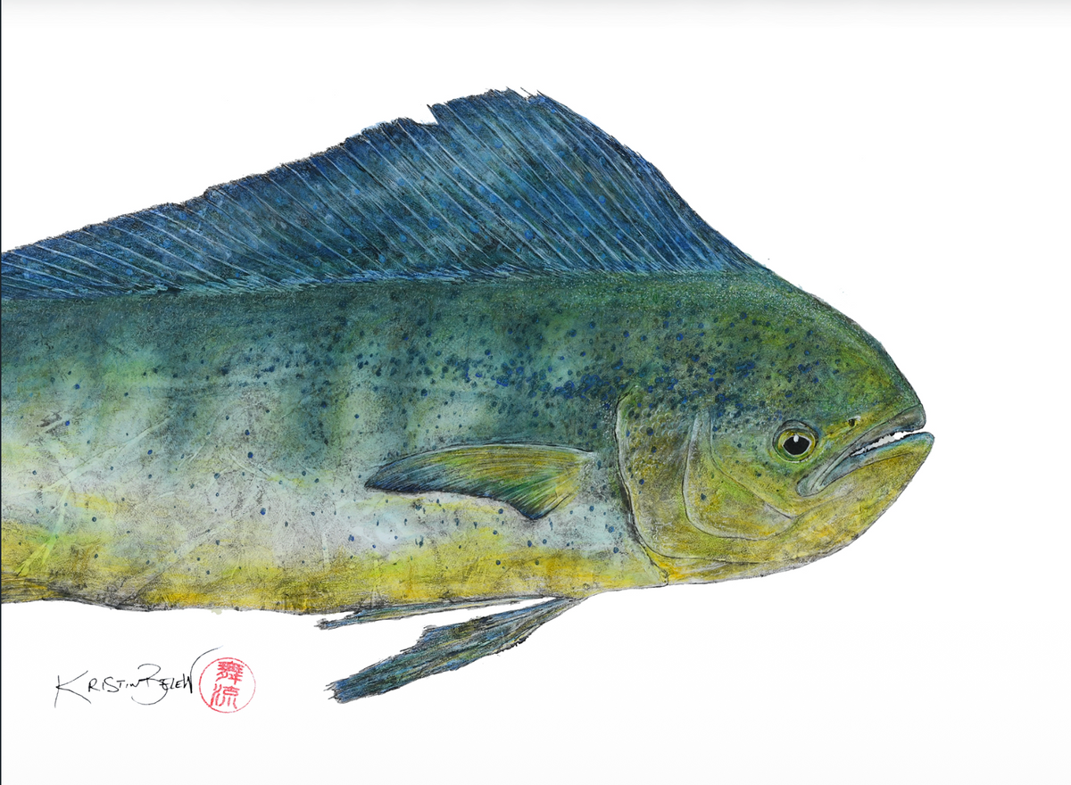 Deep Hawaii Art Greeting Cards 5 Pack-Fish Variety