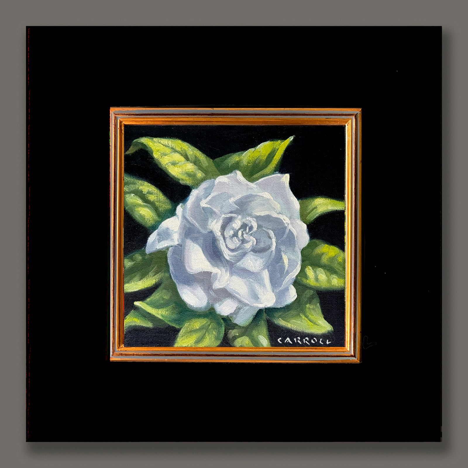 Mike Carroll "Fresh Gardenia"