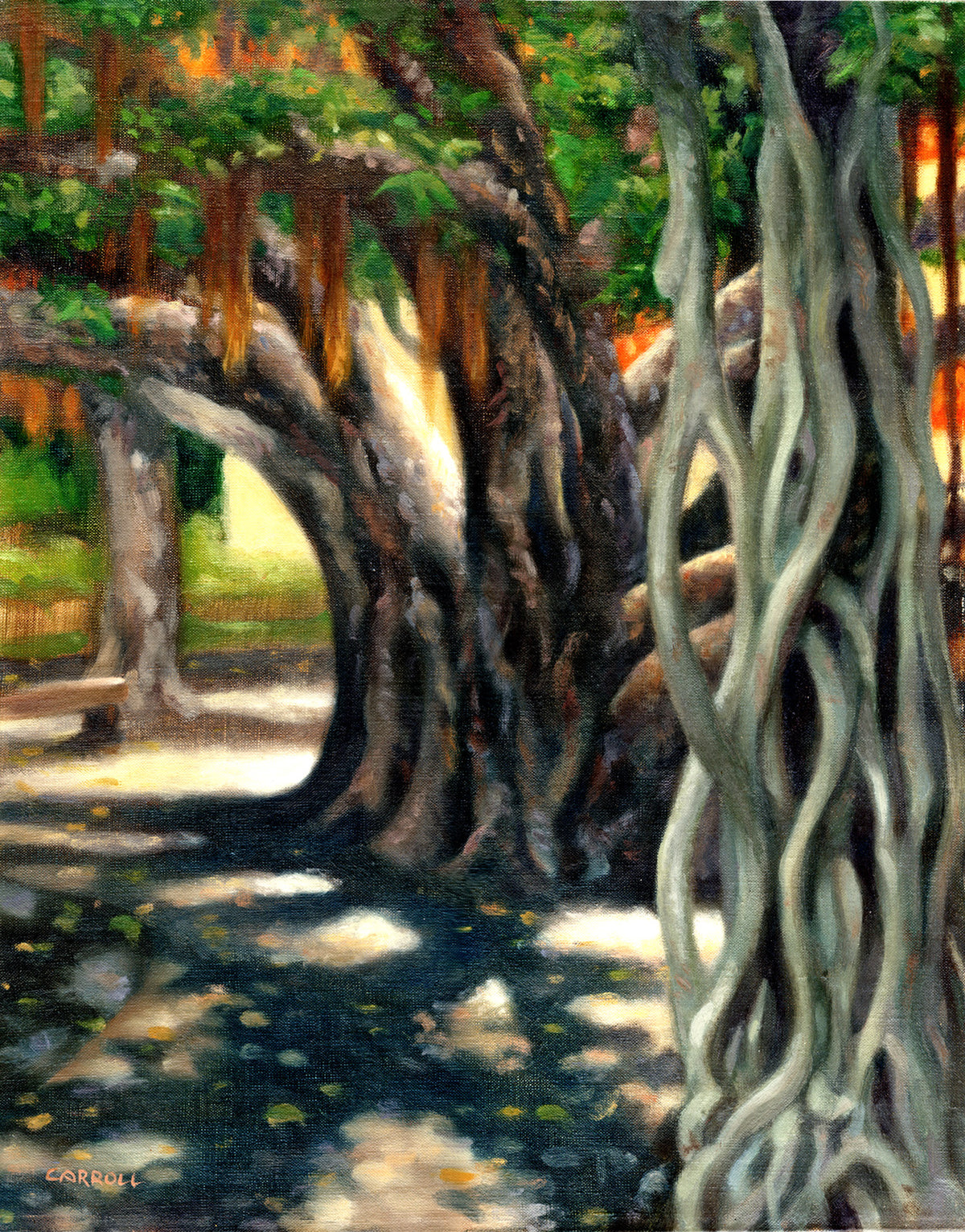 Ready-to-Frame Prints: Mike Carroll "Lahaina Banyan"