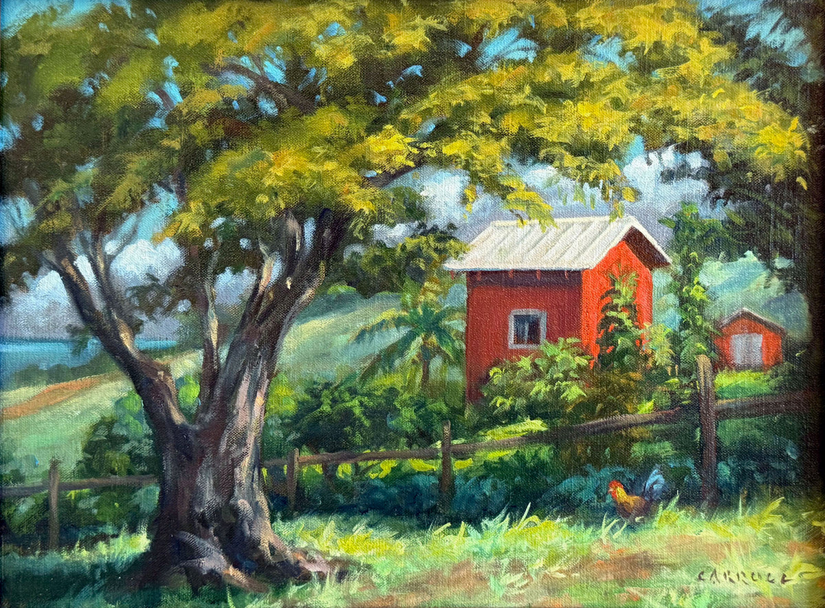 Mike Carroll "The Red Shed"