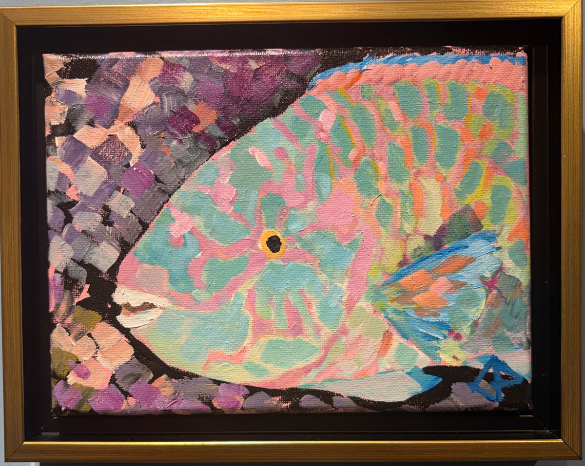 Charlie Palumbo: "Uhu (parrotfish)"