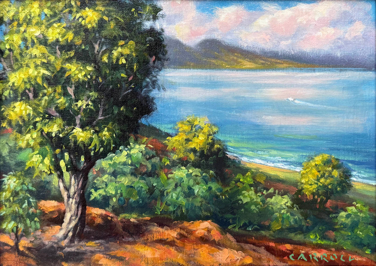 Mike Carroll "View From Naha Overlook"