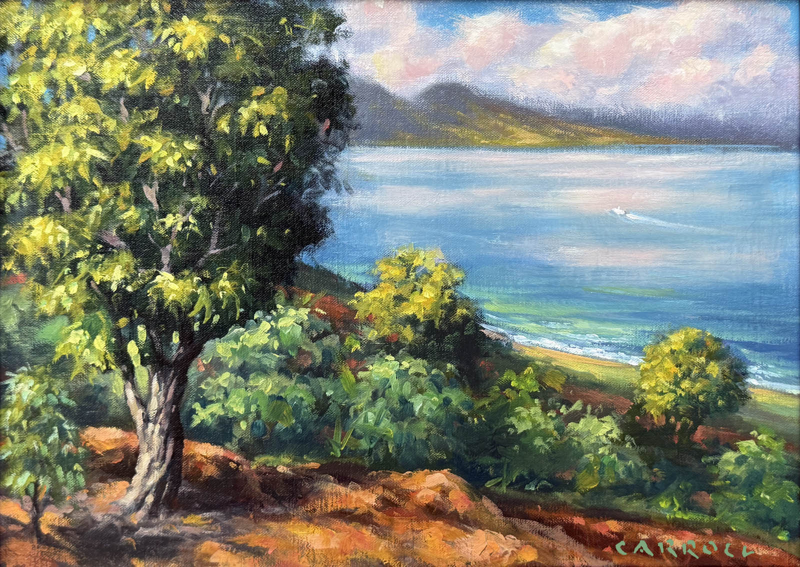 Mike Carroll "View From Naha Overlook"