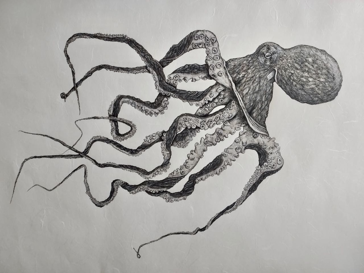 Kristin Belew: "Po`ohiwi" The Octopus Gyotaku, Framed