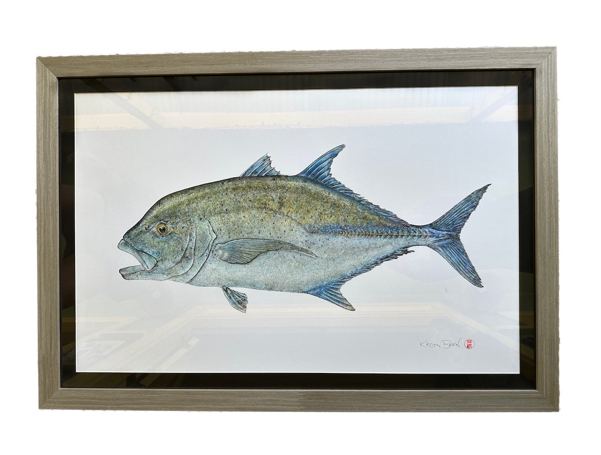 Kristin Belew: Framed "Boweʻs Omilu" (BlueFin Trevally) Gyotaku