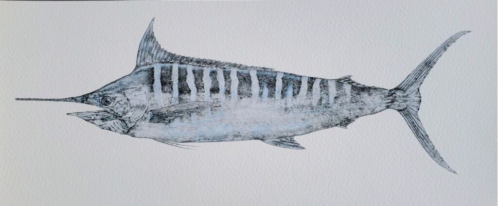 Kristin Belew: "Marge the Marlin" Gyotaku (Black and White) Full-size