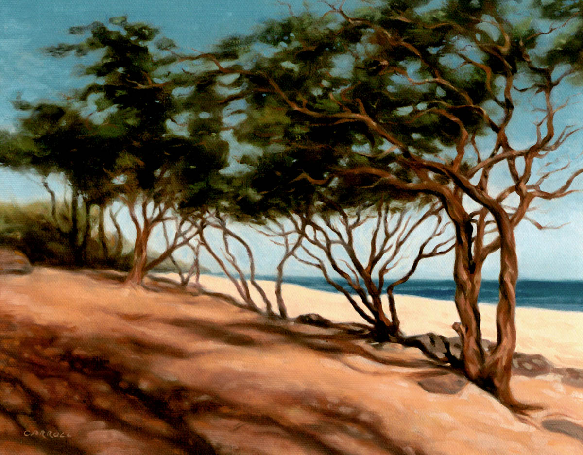 Ready-to-Frame Prints: Mike Carroll "Polihua Beach"