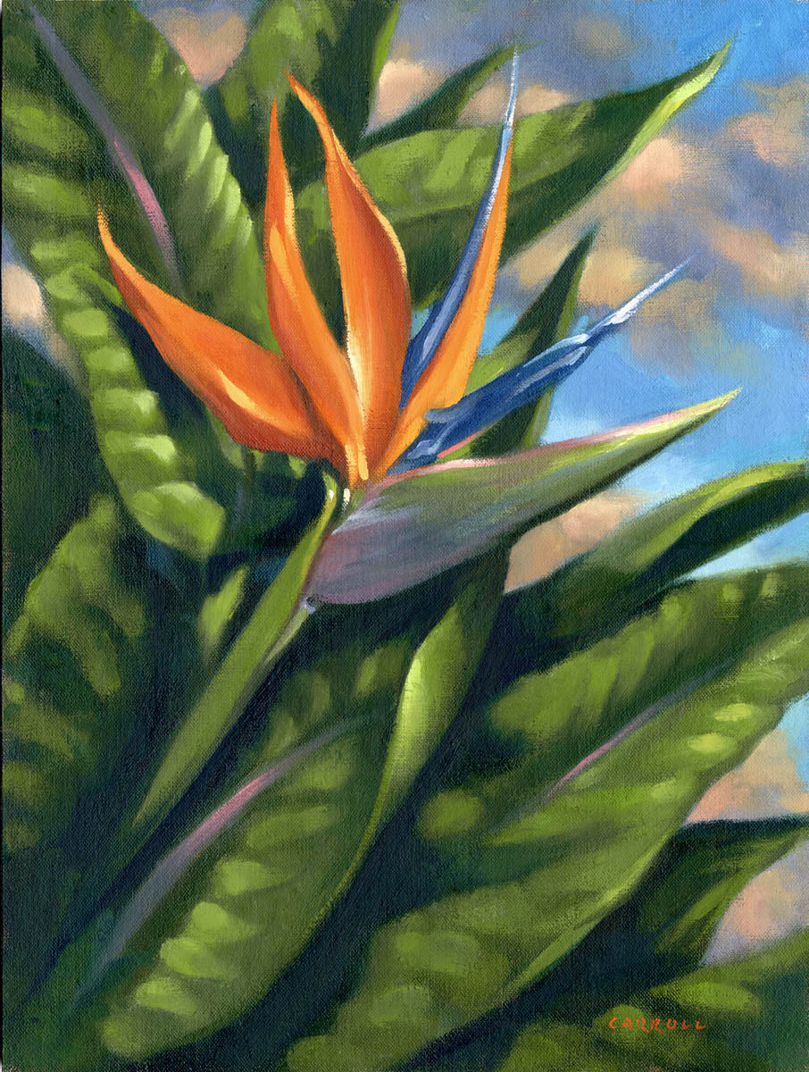 Ready-to-Frame Prints: Mike Carroll "Bird of Paradise"