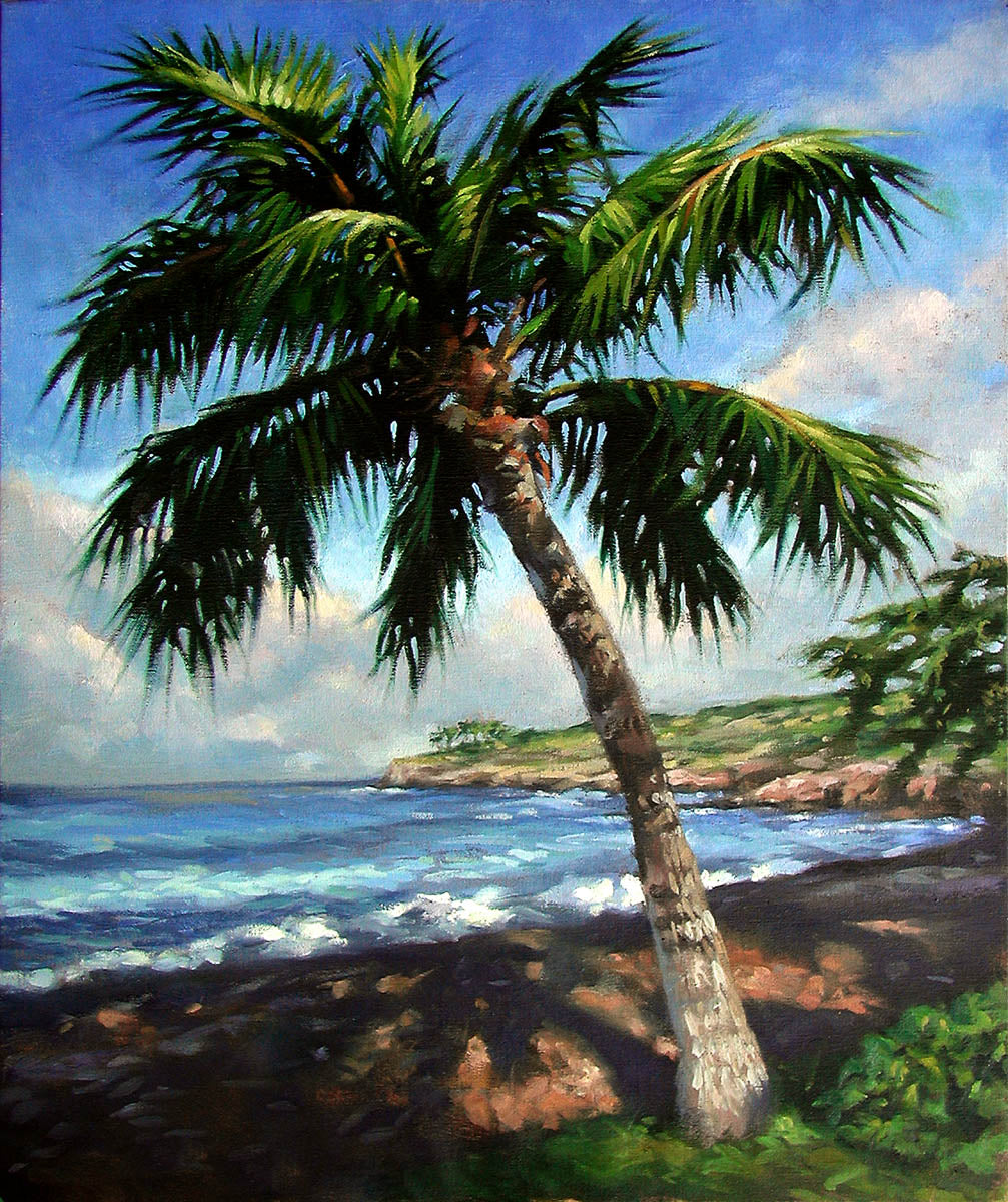 Ready-to-Frame Prints: Mike Carroll "Dawn, Hulopo'e Bay"