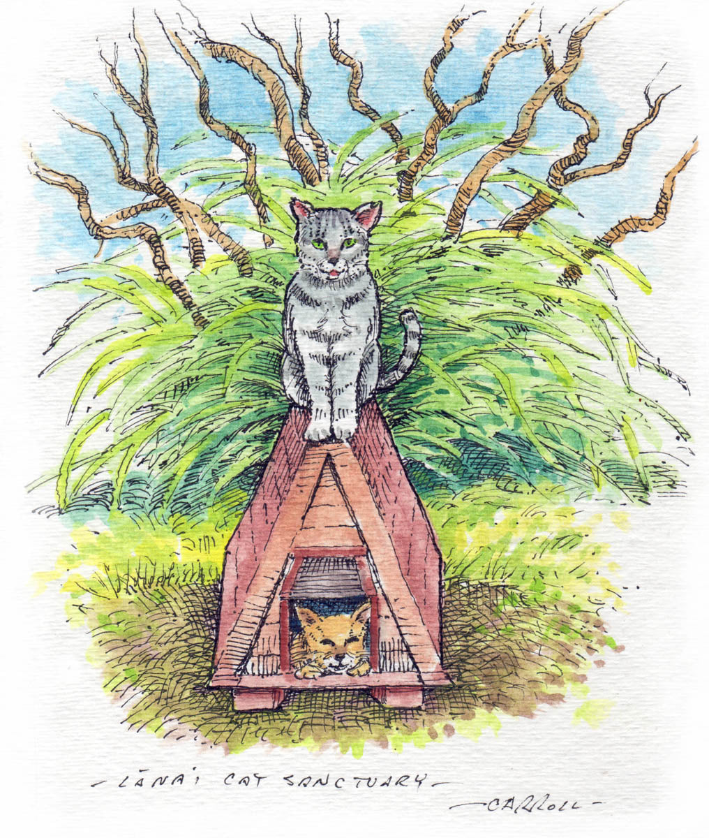 Ready-to-Frame Prints: Mike Carroll "Lana'i Cat Sanctuary"