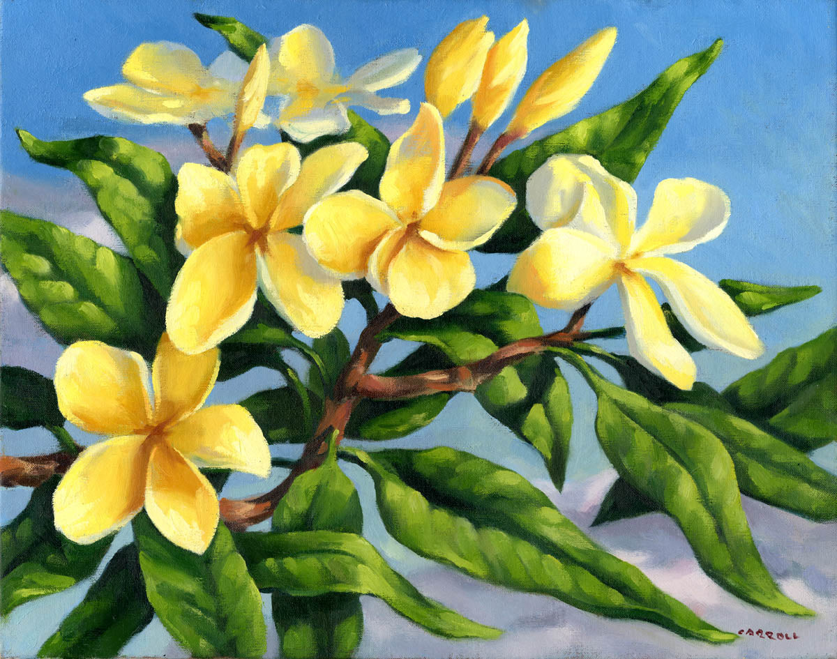 Ready-to-Frame Prints: Mike Carroll "Sunny Plumeria"