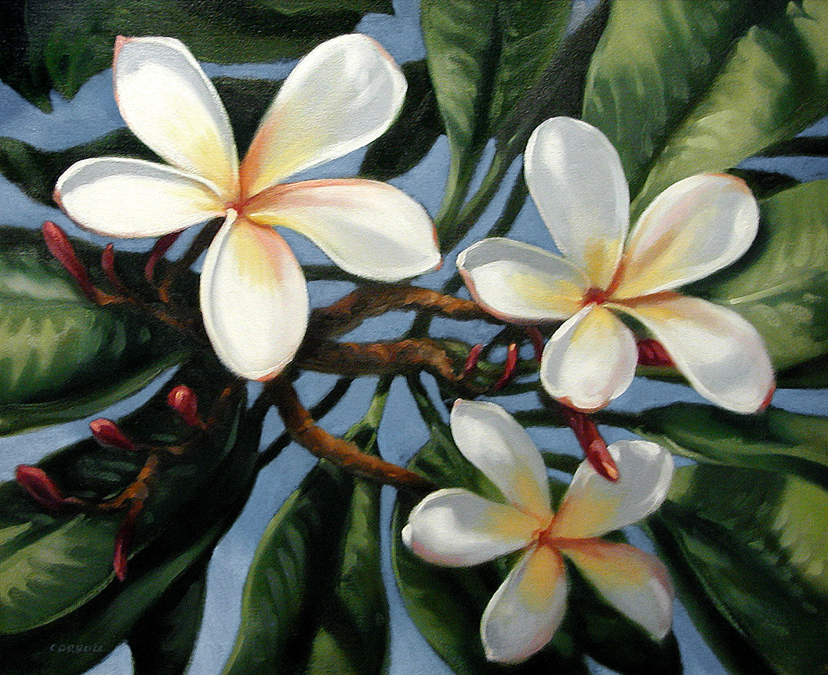 Ready-to-Frame Prints: Mike Carroll "Plumeria"