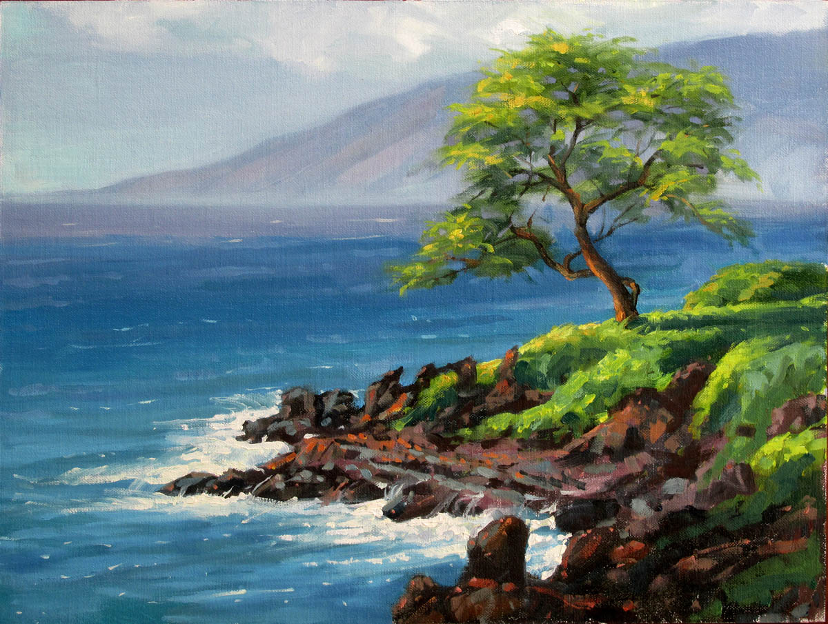 Ready-to-Frame Prints: Mike Carroll "Wailea Point"